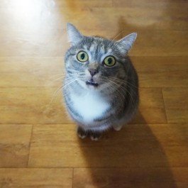 이것이 갈망의 눈빛