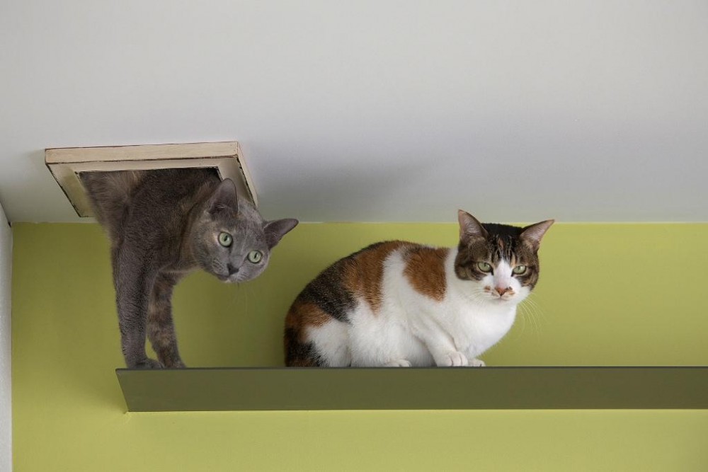 43d20217a8f27b97c1df0644aec8f072_1473538