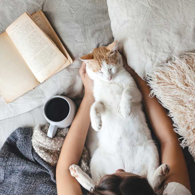 고양이 집사가 되면 행복도가 수직상승하는 이유