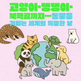 고양이·댕댕이·북극곰까지…동물을 기리는 세계의 특별한 날