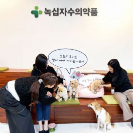 “회사에 강아지 · 고양이 데려와도 됩니다”…녹십자수의약품 포피스 시작