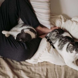 다리 쥐남, 고양이가 집사 꼼짝 못 하게 하는 행동 5