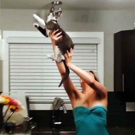 고양이와 협력해 나방 퇴치하는 여성