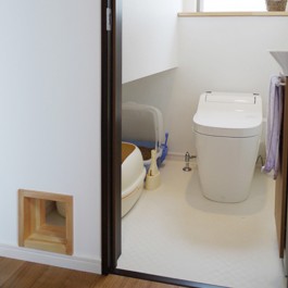 고양이와 화장실을 공유하다