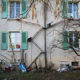 너의 길이야, 스위스 가정집에 난 수많은 고양이 사다리들