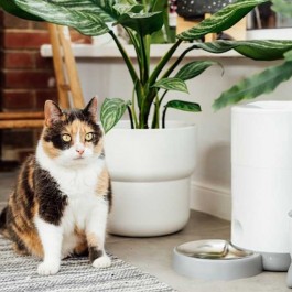 밥그릇과도 떨어트려놓자, 고양이가 싫어하는 물그릇 위치 5