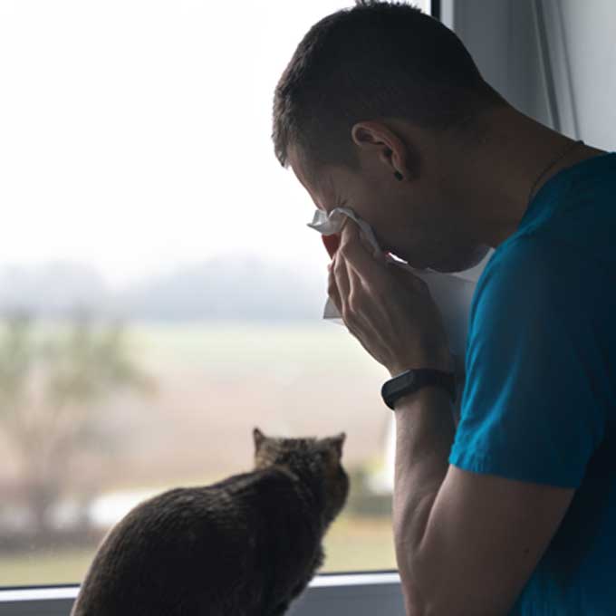 집사가 울 때 고양이가 반응하는 진짜 이유 4