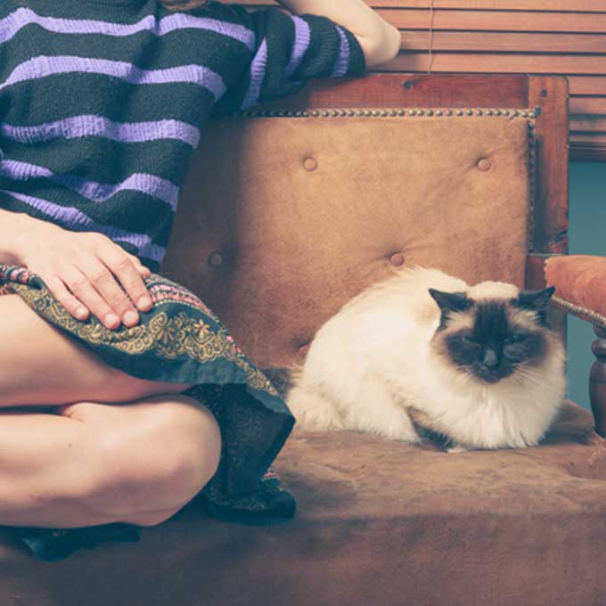 같이 고양이 집회 중일수도, 냥님이 집사 옆에 앉아 있을 때 기분 4