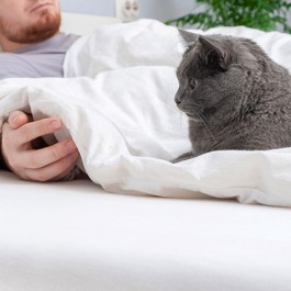 고양이가 밤에 자는 집사를 끈질기게 깨우는 이유 4