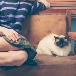 같이 고양이 집회 중일수도, 냥님이 집사 옆에 앉아 있을 때 기분 4