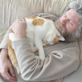 “걍 암 생각 없다옹!”, 고양이 집사 ‘가슴 위에서’ 자는 이유 4