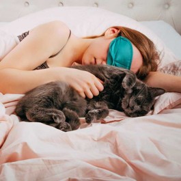 집사랑 자겠어, 고양이 결심에 큰 영향을 주는 요인 4